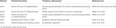 Heterochromatin in the fungal plant pathogen, Zymoseptoria tritici: Control of transposable elements, genome plasticity and virulence